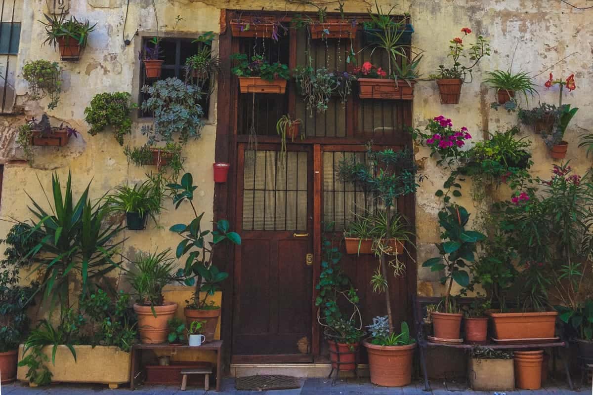 An entrance with a many plants located in el Born