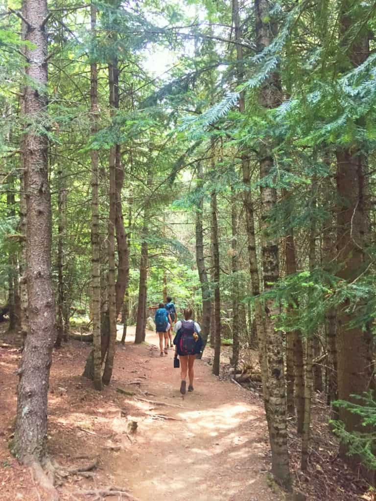 People hiking through a forest in the Carros de Foc route