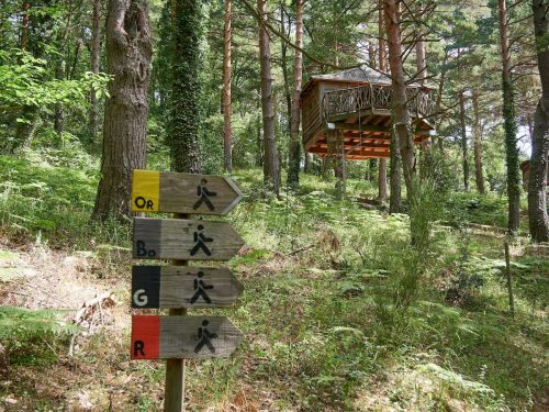 Orientation signs in the Cabanes dels Arbres forest
