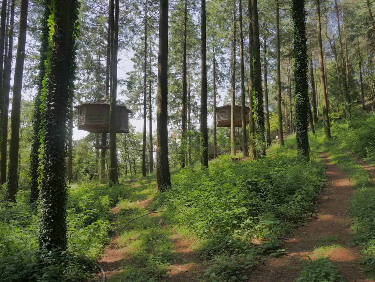 Two Cabanes als Arbres treehouses in the middle of the forest