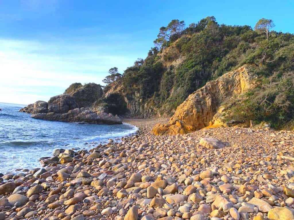 The cove Cala de Vallpersona in the Costa Brava