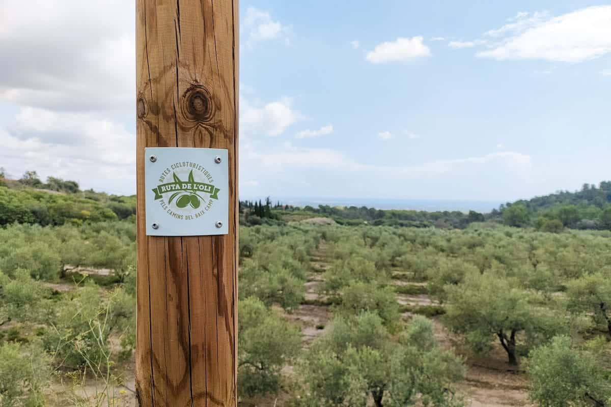 The sign of the Olive Oil cycling route