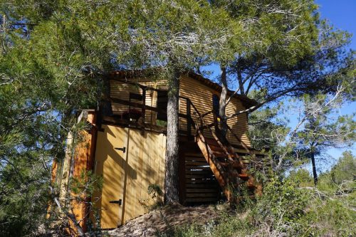 The Cal Galeno treehouse