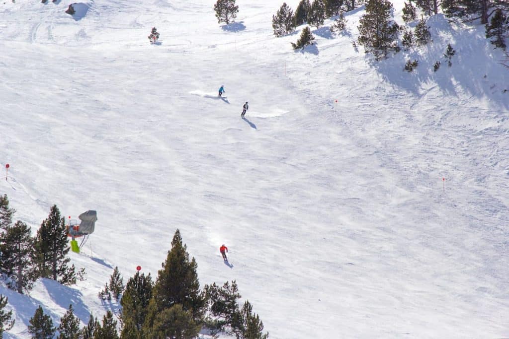 Skiers in Vallter 2000