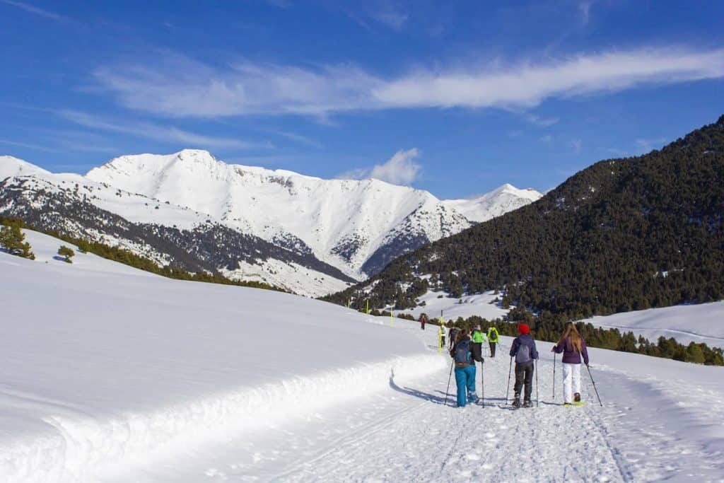 A group of people snowshoeing