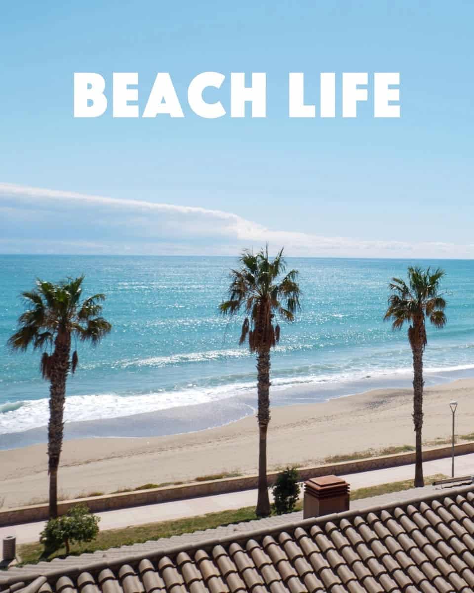 Beach Life cover