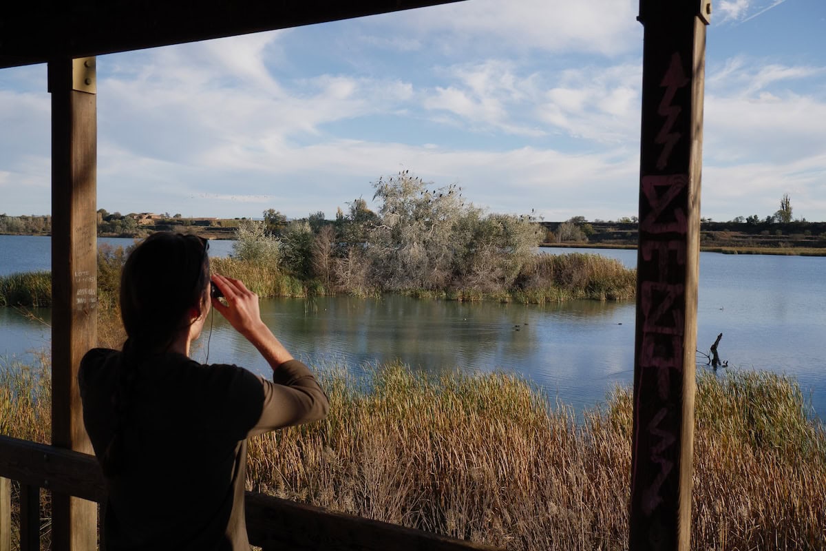 A person birdwatching in Estany d'Ivars i Vila-Sana