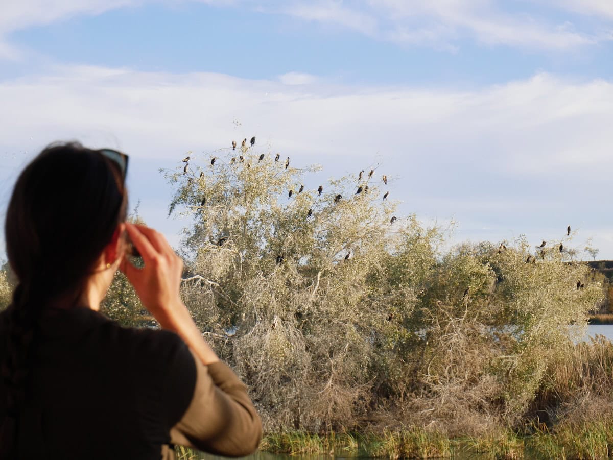 A person birdwatching in Terres de Lleida