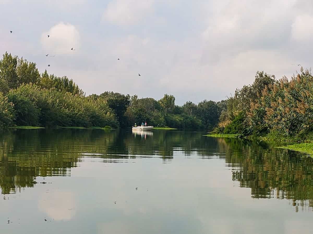 Boat ride along the Ebre river