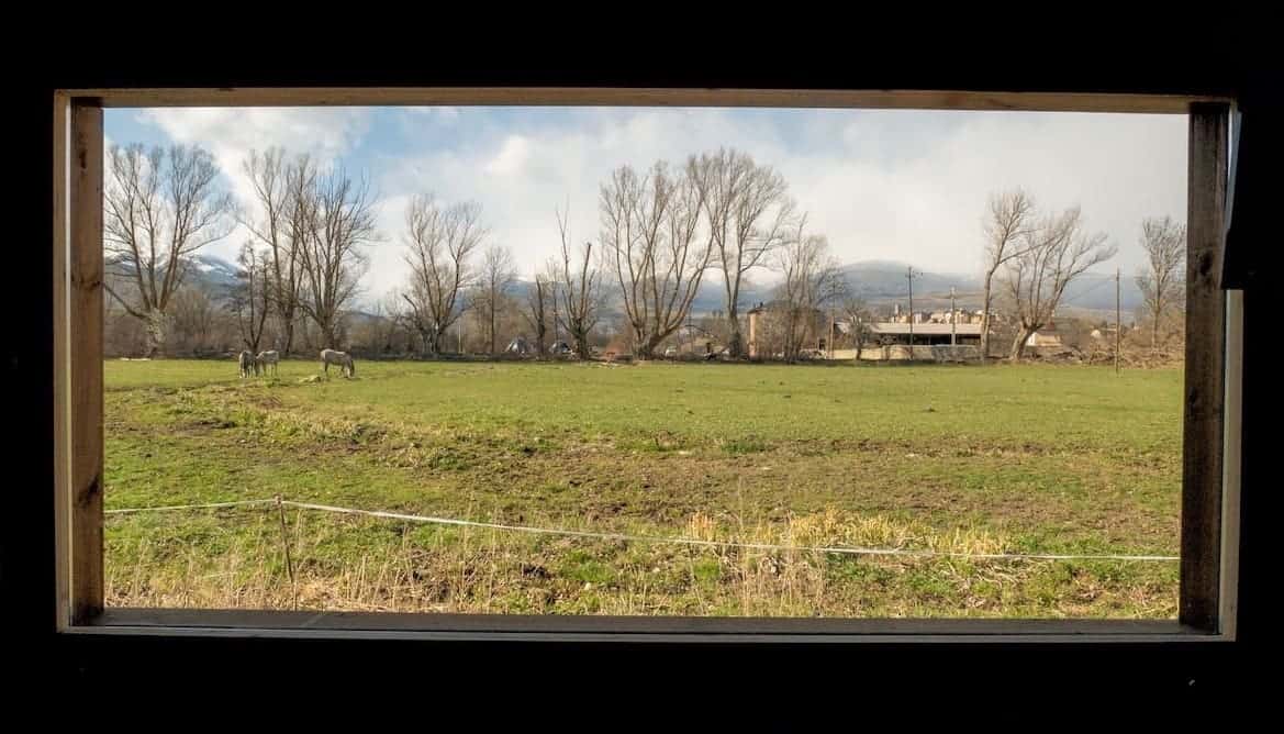 Views of the horses from the bungalow window