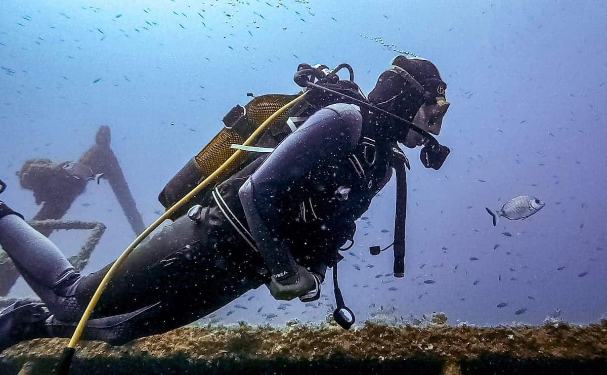 A diver following a fish in the Costa Brava