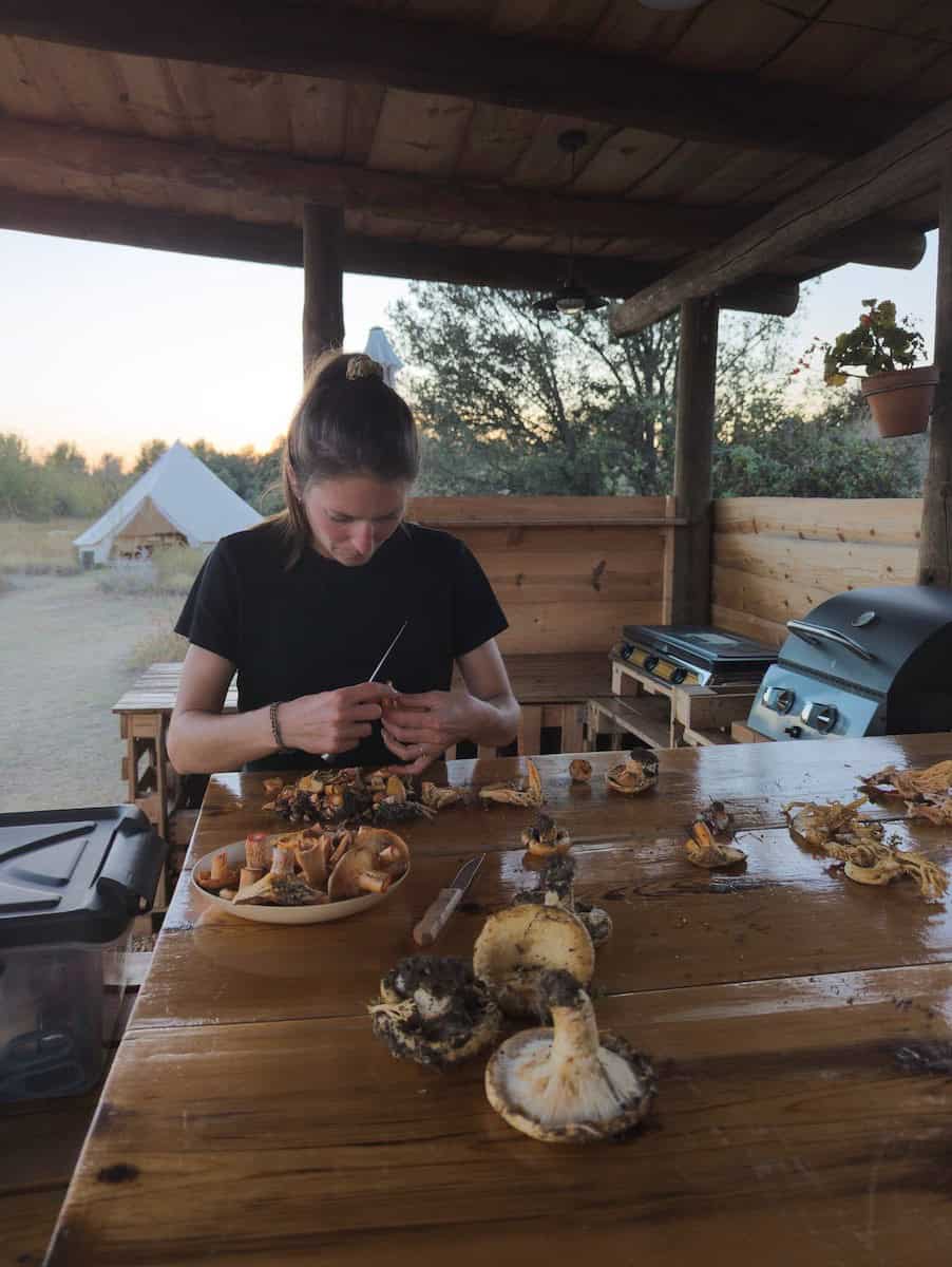 Cooking mushrooms