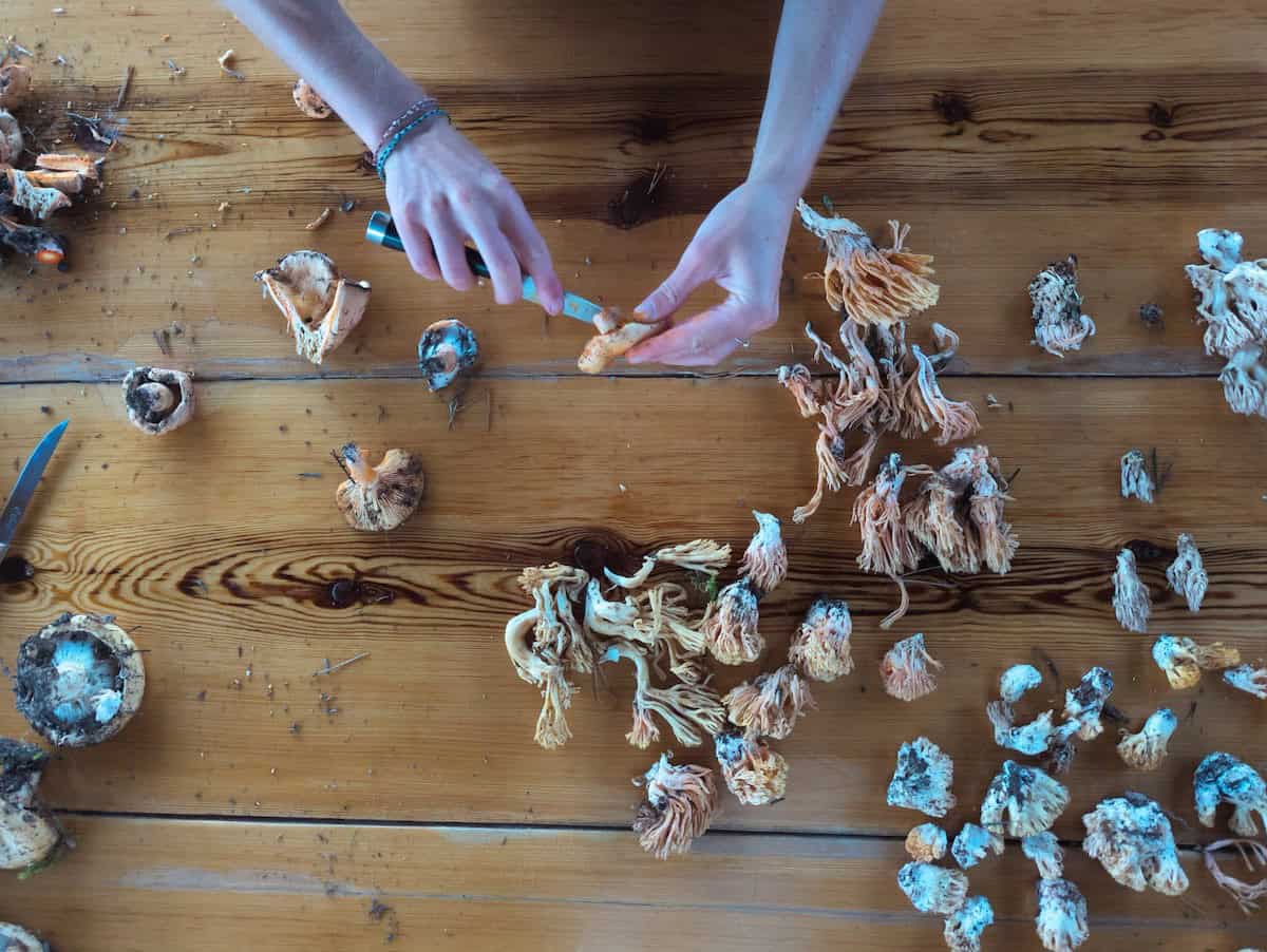 Getting some mushrooms ready to cook