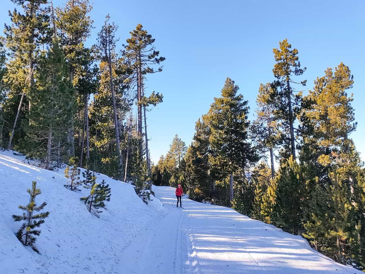 A person practising cross-country skiing in Naturland