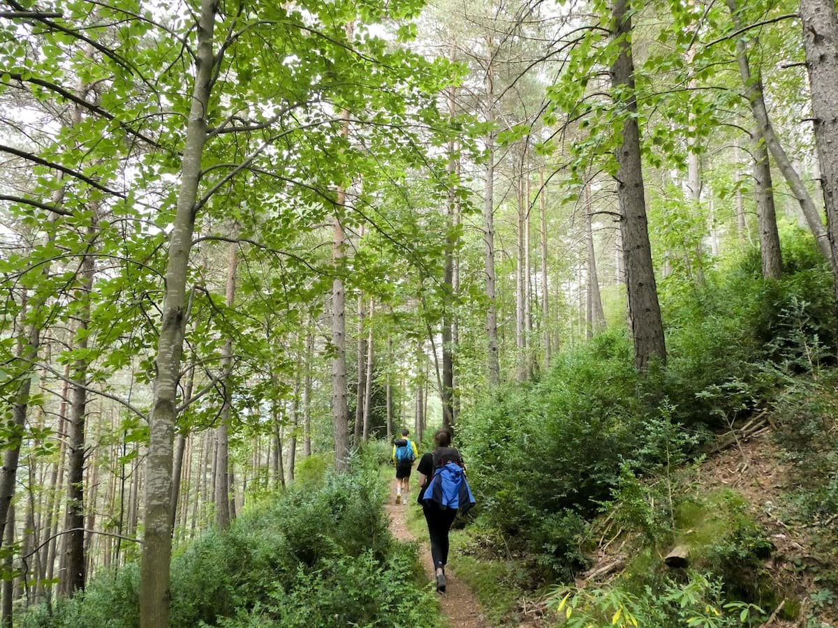 People crossing a forest during the Cavalls del Vent hike