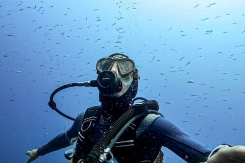A diver surrounded by fish in the Costa Brava