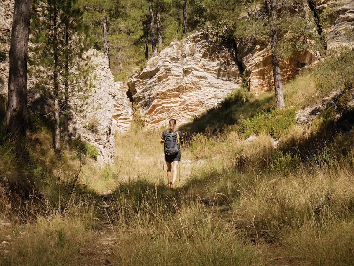 Hiking through the forests of El Parrizal