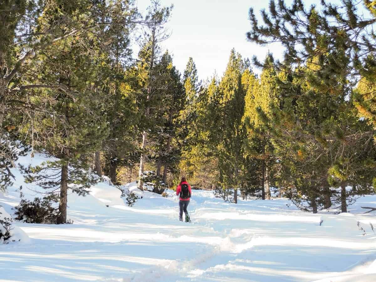 A person snowshoeing to Ensangents Lake