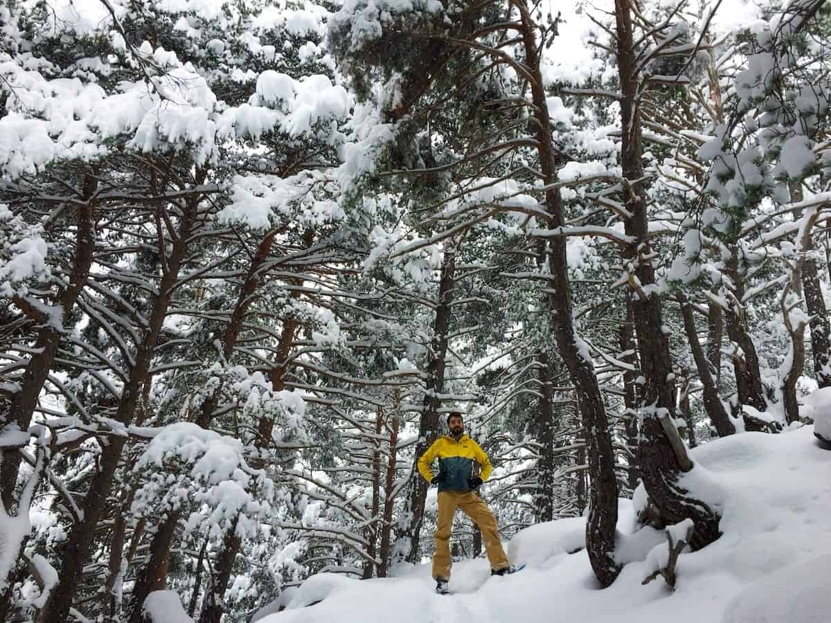 Snowshoeing through a pine forest on our way to Angonella Lakes