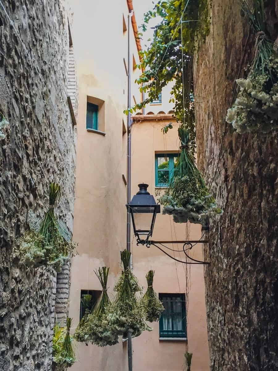 Street decorations during Temps de Flors in Girona