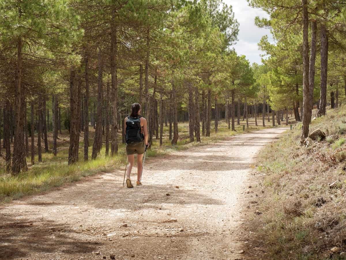 Walking through one of the beautiful forests during the first stage of El Gran Paseo de los Puertos de Beceite