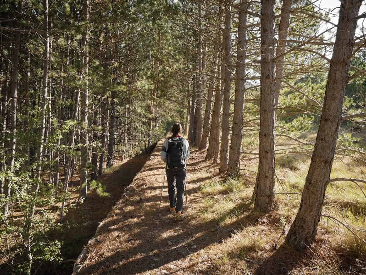 A hiker walking through the forest during El Gran Paseo de los Puertos de Beceite