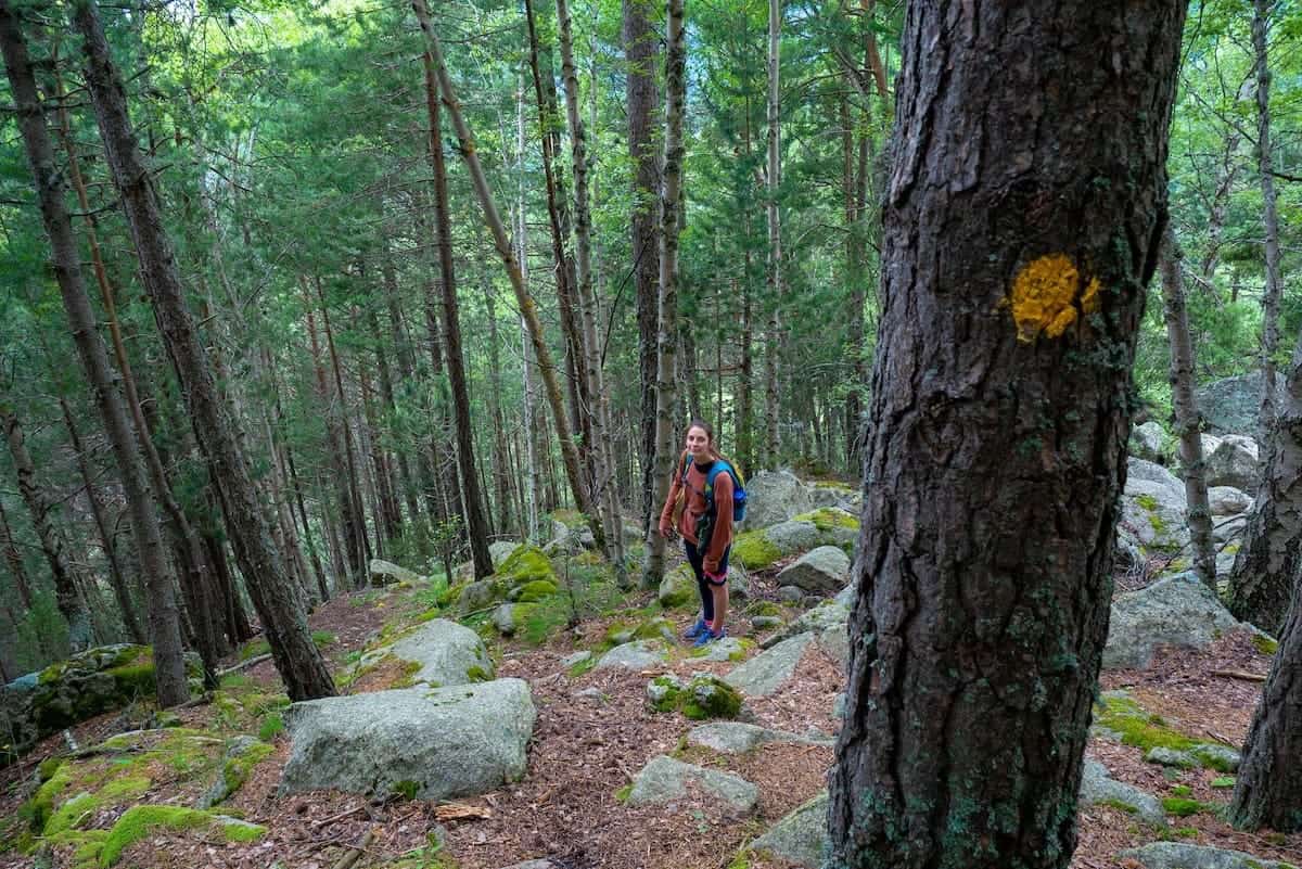 A person hiking in Andorra's woods