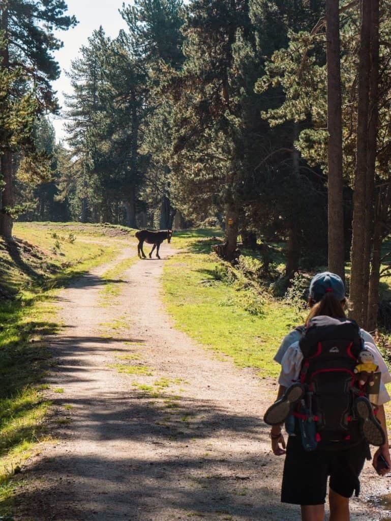 A hiker encountering a horse in the Estanys Amagats route