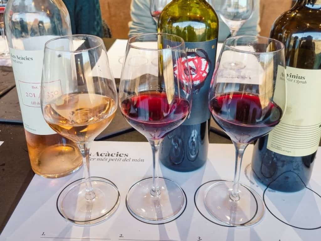 Wine tasting in Les Acàcies