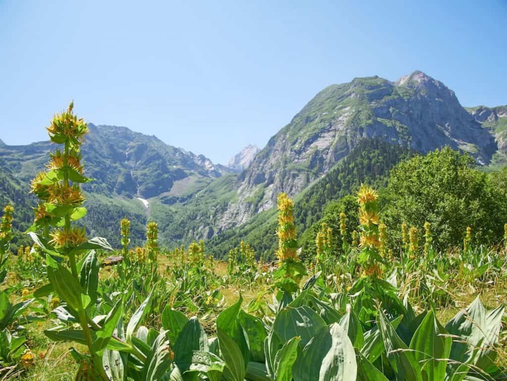 Mountainous landscape in the Vall d'Aran