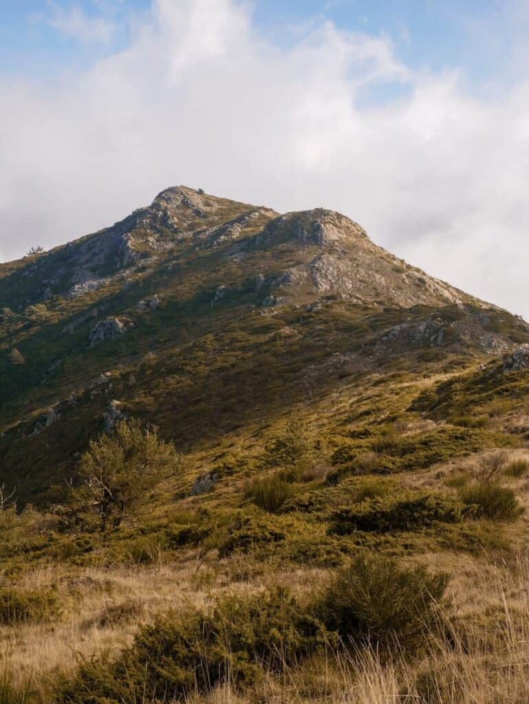 Views of Puig Sesolles