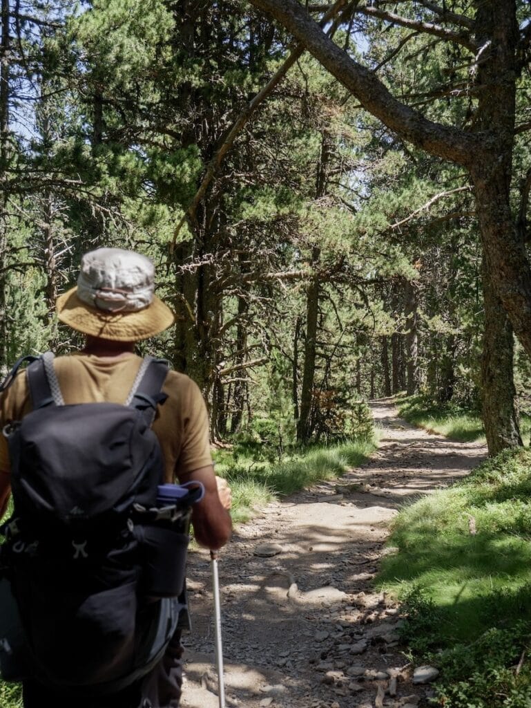 A hiker crossing the forests of Pal Ski Resort