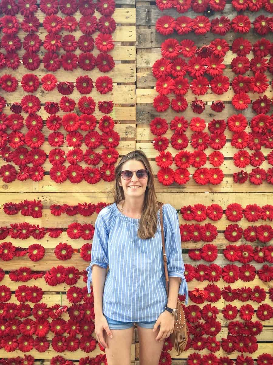 One of the flower exhibitions at Temps de Flors in 2017