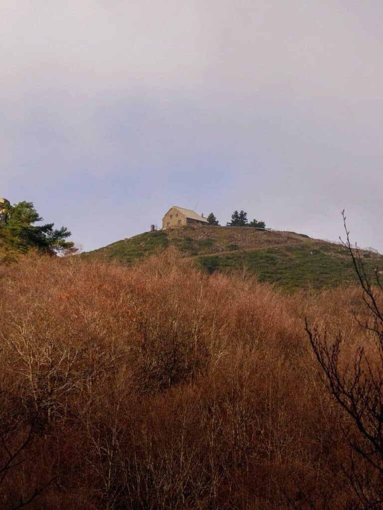 Views of Turó de l'Home summit