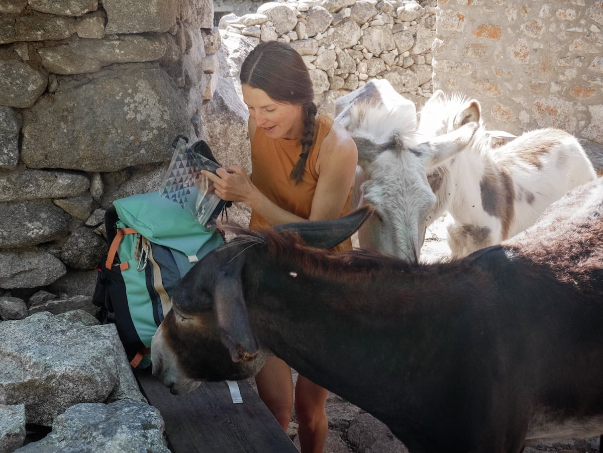 Donkeys in Madriu Valley trying to steal my food