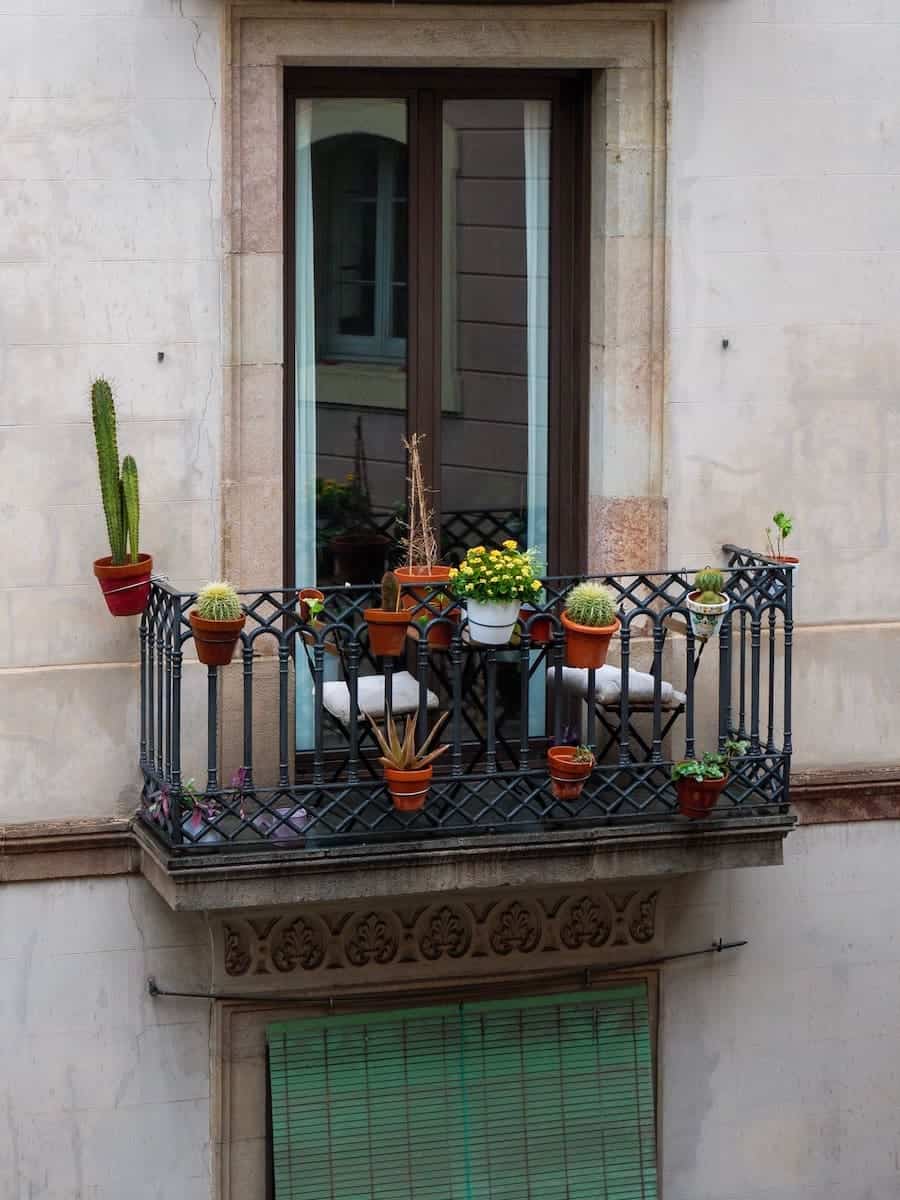 Window with cactus in Barcelona